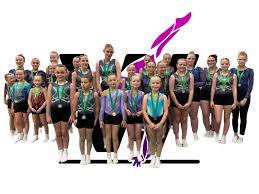 Image result for Weston Aerobic Gymnastics Club