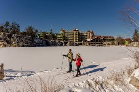 Image result for Mohakenox