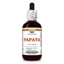 Image result for Carica papaya