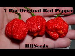 Afbeeldingsresultaat voor 7 pot hot pepper