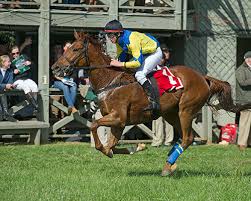 Image result for Fisher Equestrian