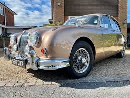 Image result for Golden Sand 1962 Jaguar