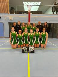 Image result for Alfa Netball Club