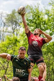 Image result for Vipers Rugby Football Club