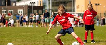 Image result for Chipstead Fc