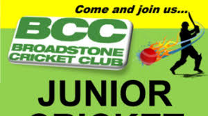 Image result for Bere Regis Cricket Club