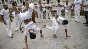 Image result for Brazilian-martial arts
