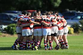 Image result for Old Paulines Cricket Club