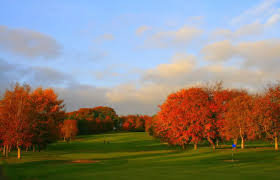 Image result for Carlow Golf Club