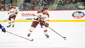 Image result for Norwich City Roller Hockey Club