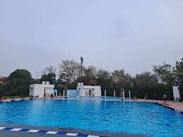 Image result for Deva Handball Club