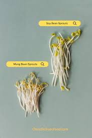 Image result for bean sprout