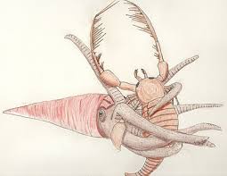 Attēlu rezultāti vaicājumam “Endoceras”