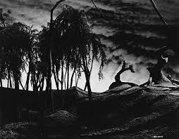 Attēlu rezultāti vaicājumam “Jalla dumosa imago”