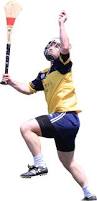 Image result for hurling