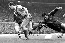 Image result for Holderness Vikings Amateur Rugby League Football Club