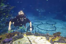 Image result for Exe To Sea Diving