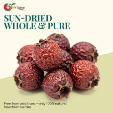 Attēlu rezultāti vaicājumam “Crataegus monogyna fruit”