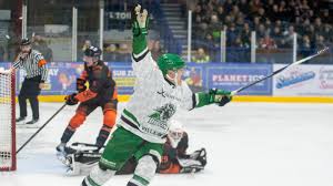 Image result for Basingstoke Bison Ice Hockey Club