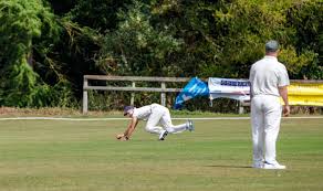 Image result for Ashdon Cricket Club