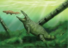 Image result for Edlington Sc