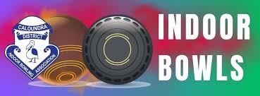 Image result for Isle Of Man Indoor Bowling Association