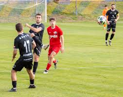 Image result for sényő