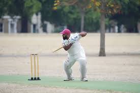 Image result for Roding Valley Cricket Club