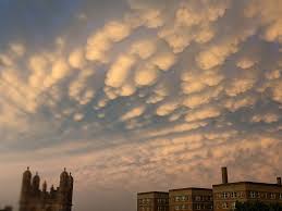 Attēlu rezultāti vaicājumam “Mammatus”