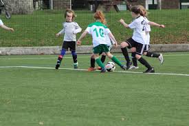 Image result for Hassocks Ladies FC