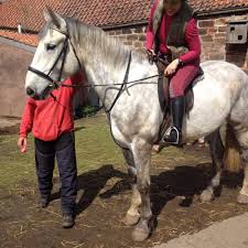 Image result for Fife Riding Club