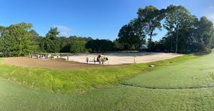 Image result for Moore Place Golf Club