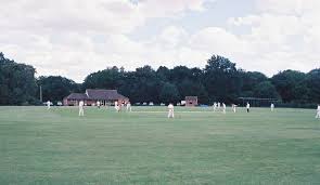 Image result for Buckhorn Weston Cricket Club
