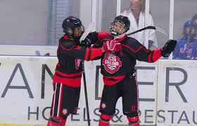 Image result for Streatham Night Wolves Ice Hockey Team