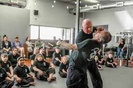 Image result for Masters of Martial Arts