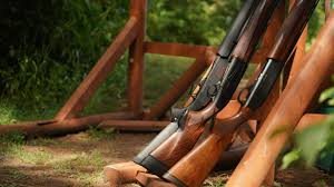 Image result for Gunners Pigeon Shooting Club