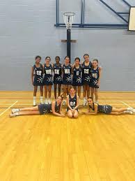 Image result for Hertford Hornets Netball Club