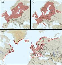 Attēlu rezultāti vaicājumam “Lampetra planeri”