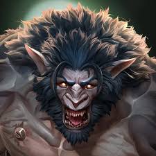 Image result for Warwick Wolves