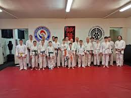Image result for A BRITISH JUJITSU RYU in Lancing