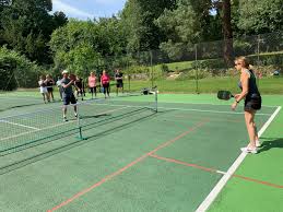 Image result for The Pickleballers UK