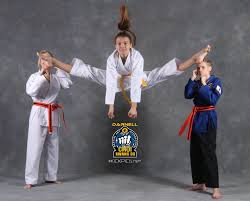 Image result for southern academy choi kwang do