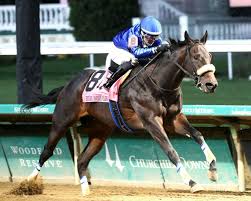 Image result for The Horse Racing Club