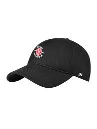 Image result for Chard Cricket Club