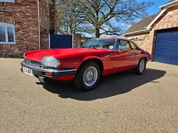 Image result for Bordeaux Red 1981 Jaguar