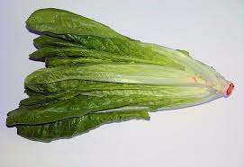 Image result for Römischer Salat