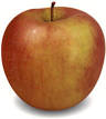 Blog de lacuisinedelirilou : La cuisine de Lirilou, Pomme de Reinette et Pomme d'Api...
