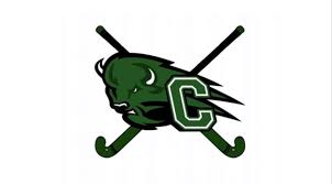 Image result for Carlisle Hockey Club