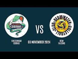 Image result for Cheltenham Cobras Volleyball Club
