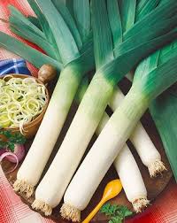 Image result for Porree